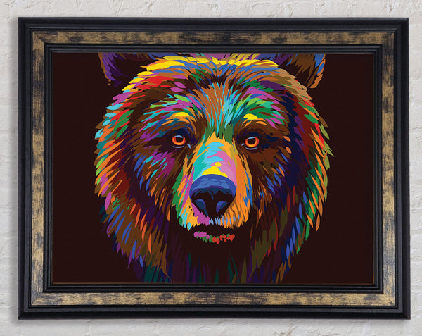 Vibrant Bear Face