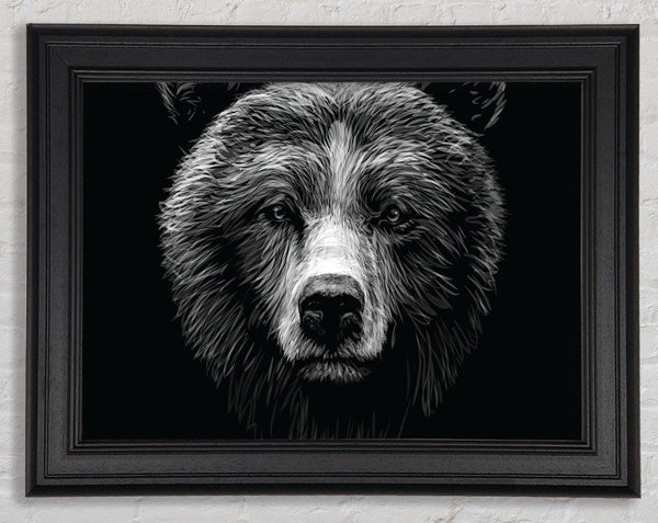 Black And White Bear Face