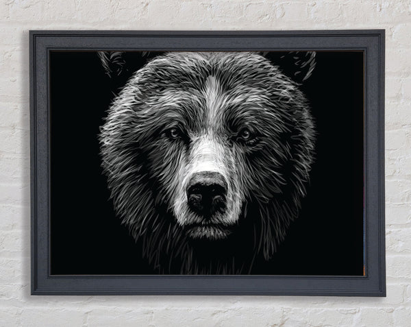 Black And White Bear Face