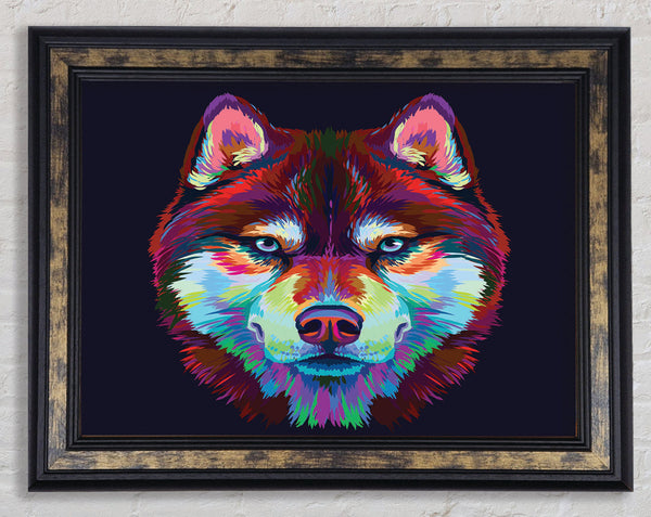 Vibrant Wolf Blues