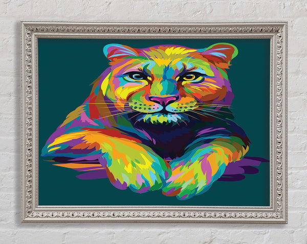 Colourful Mountain Lion