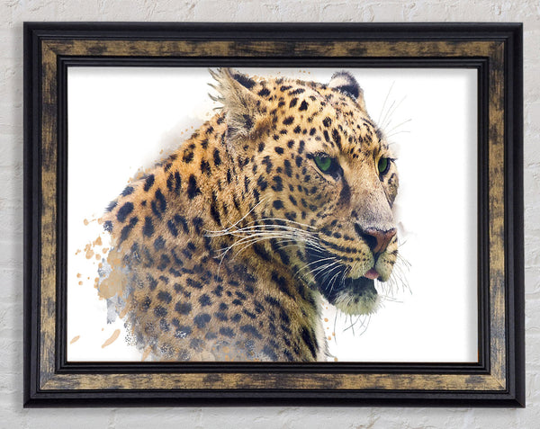 Watercolor Splash Leopard