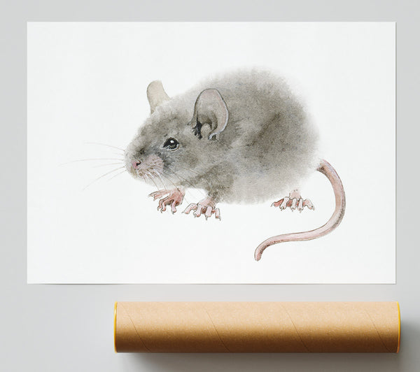 Cute Little Mouse