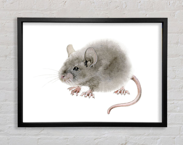 Cute Little Mouse