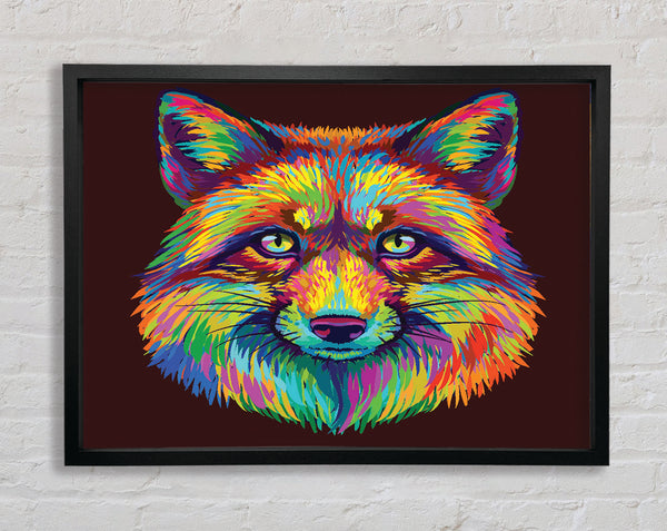 The Colourful Fox