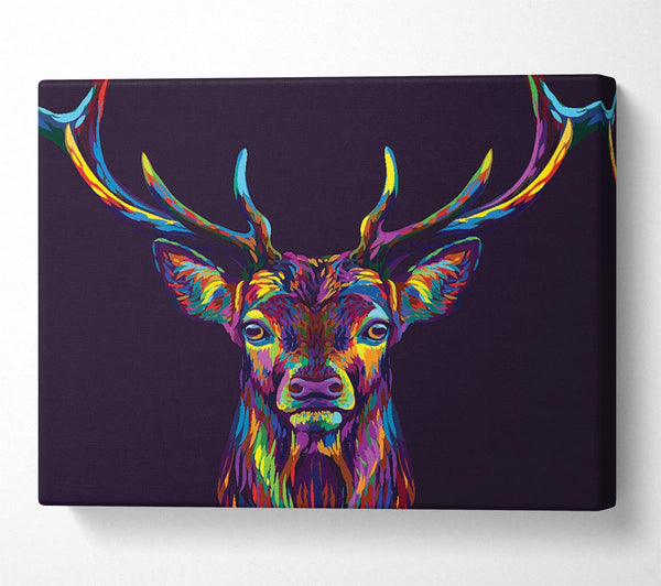 The Colourful Stag