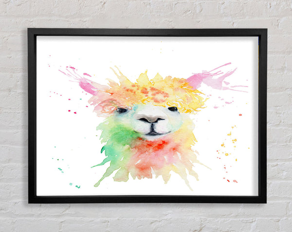 Splatter Colour Alpaca