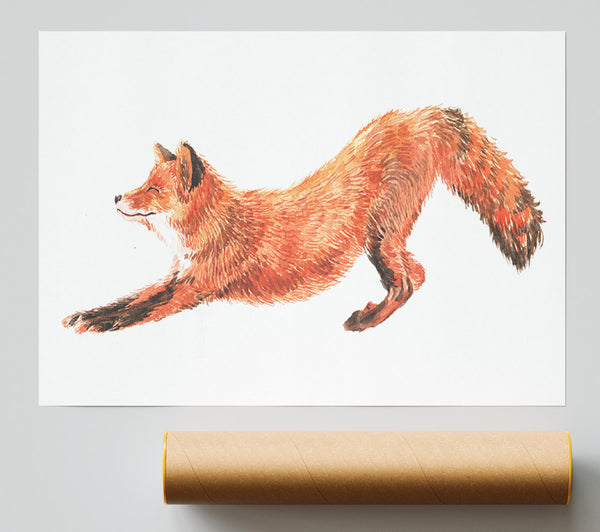 The Fox Crouching