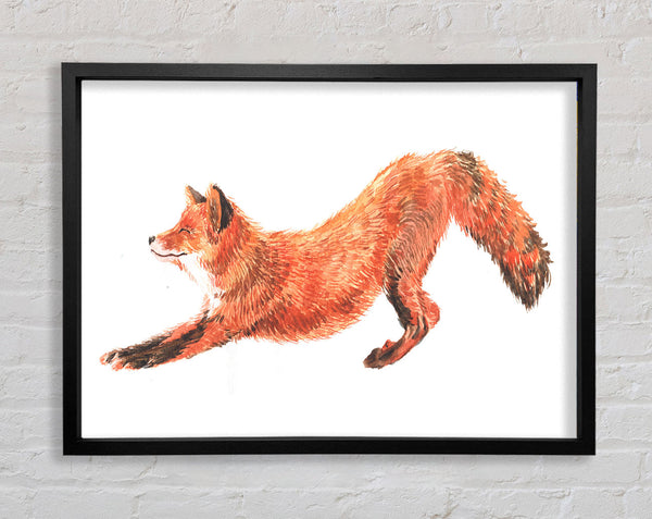 The Fox Crouching