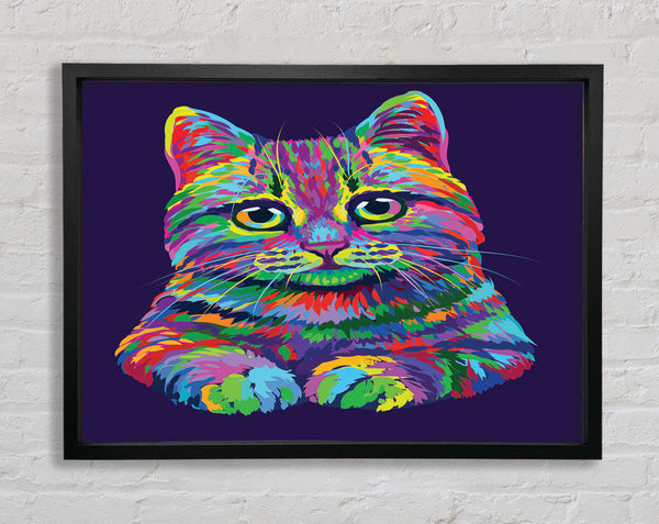 The Vivid Cat