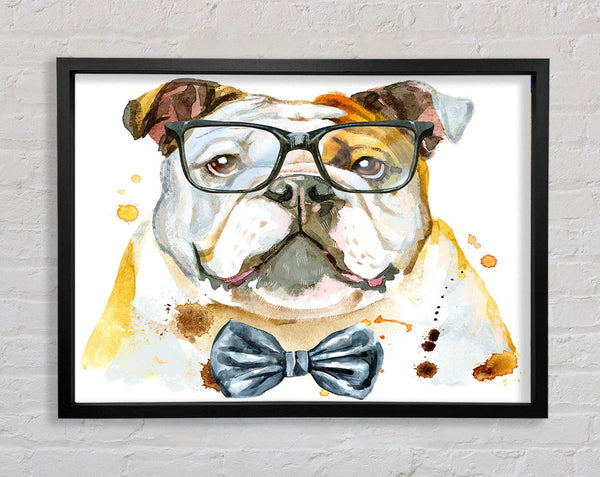 The Bulldog With Glasses