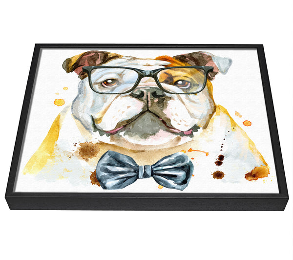 A picture of a The Bulldog With Glasses framed canvas print sold by Wallart-Direct.co.uk