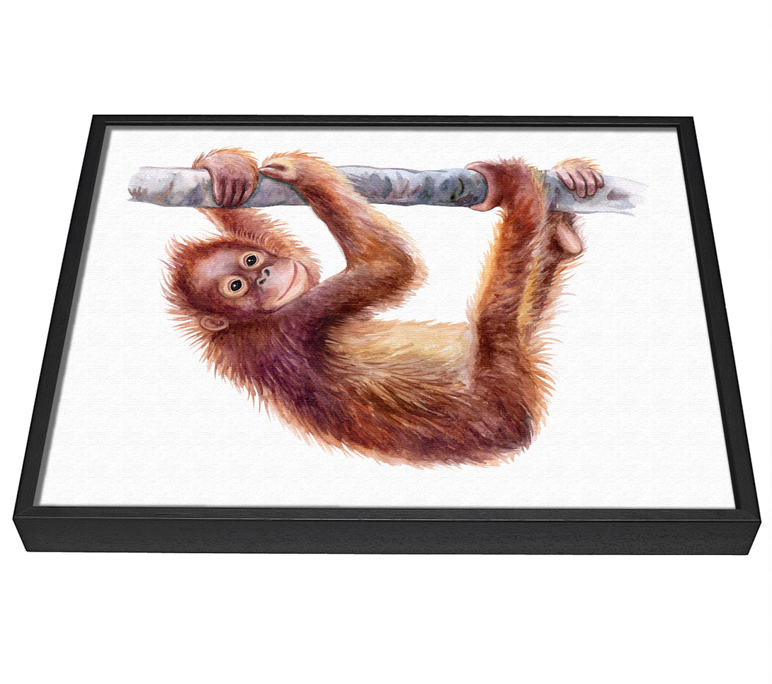 A picture of a Hanging On A Branch Orangutan framed canvas print sold by Wallart-Direct.co.uk