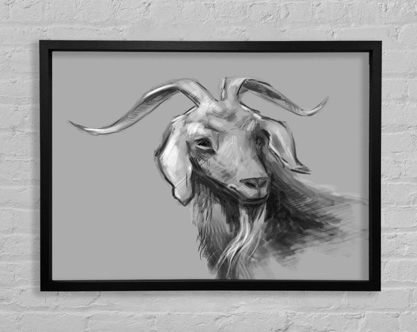 The Sketch Goat