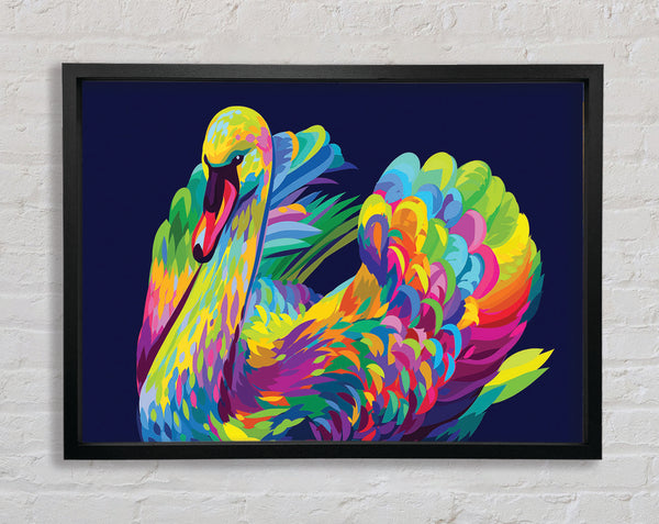 The Vibrant Swan Sitting