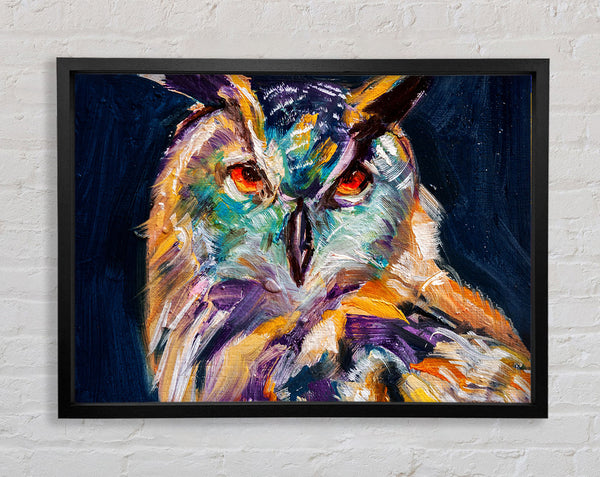 The Vivid Owl Stare