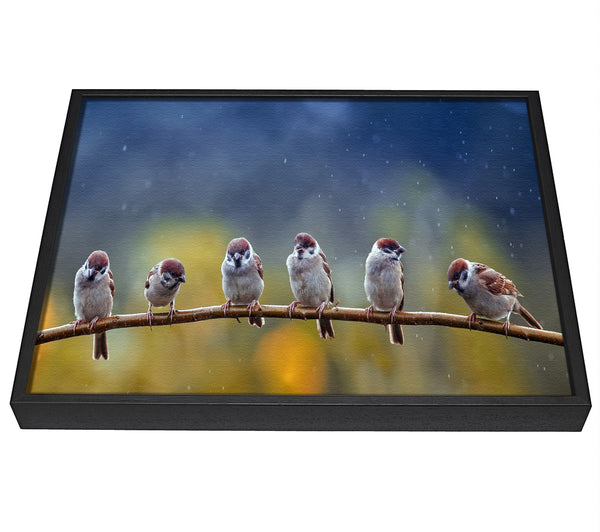 A picture of a The Tits On A Branch framed canvas print sold by Wallart-Direct.co.uk