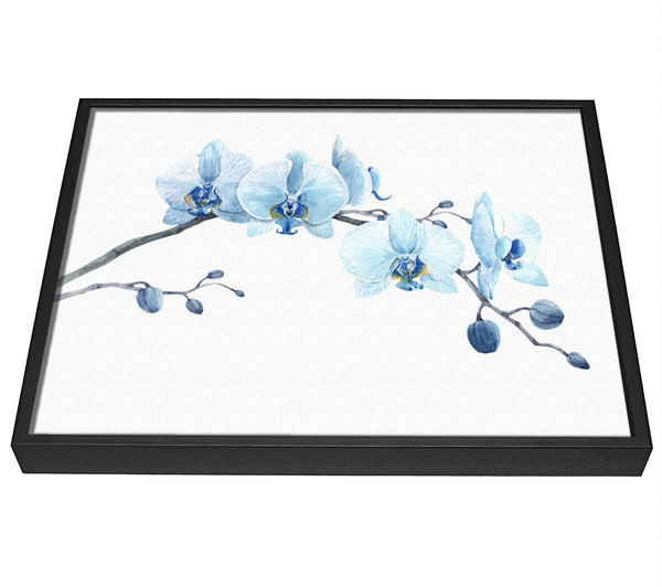 A picture of a The Blue Orchid Curve framed canvas print sold by Wallart-Direct.co.uk