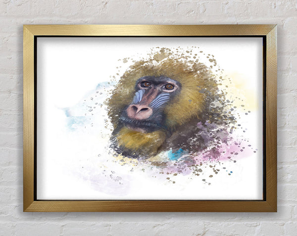 Mandrill Watercolour Splash