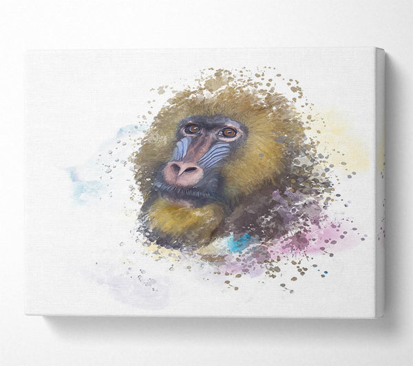 Mandrill Watercolour Splash