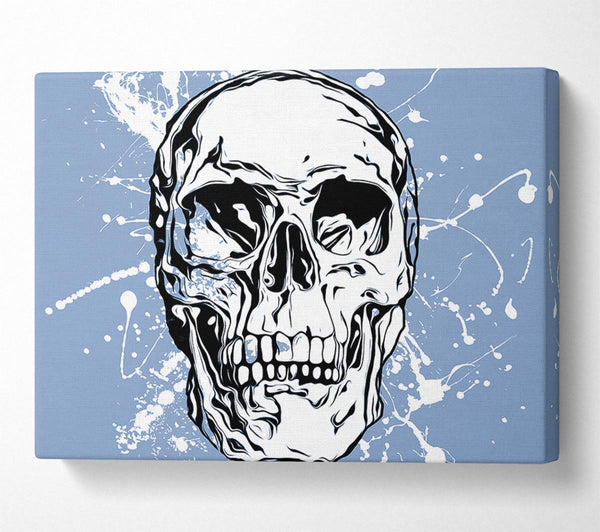 The White Splatter Skull