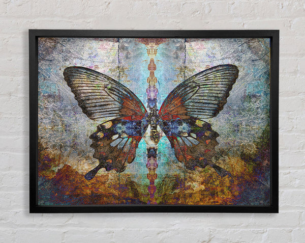 The Eroded Butterfly