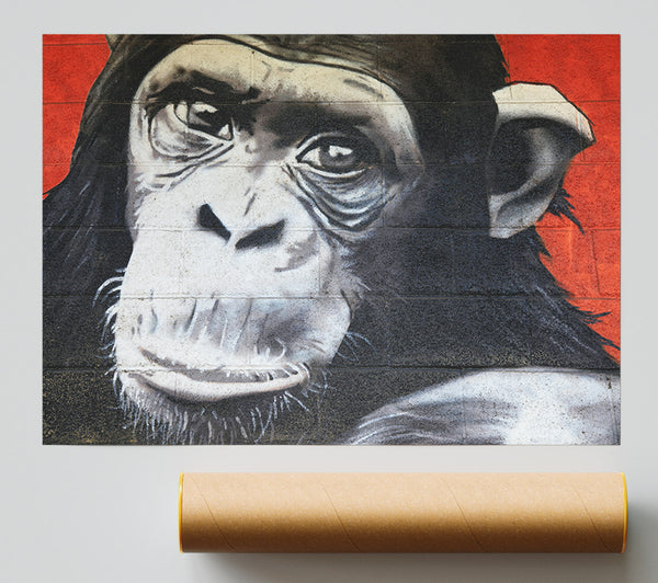 The Chimp On Red