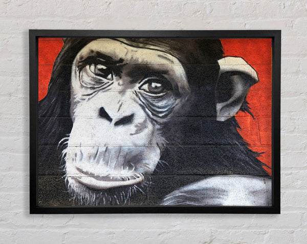 The Chimp On Red