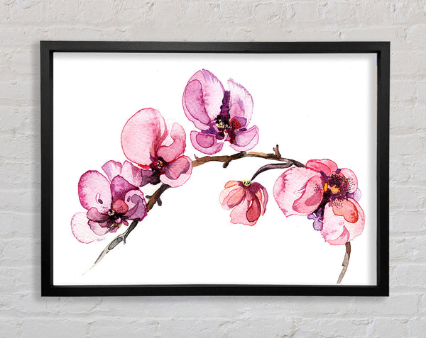 The Pink Orchid Branch Single