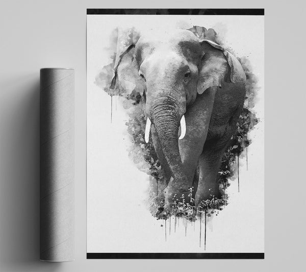 Elephant Splash Watercolour