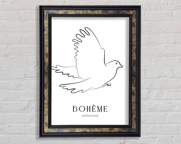 Boheme Dove