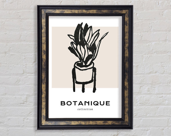 Botanique Flower Vase