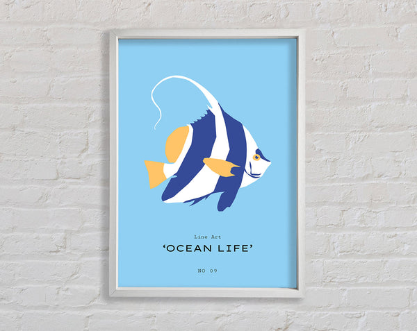 Angel Fish Blue And White