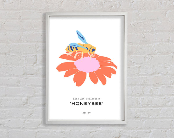 Modern Honey Bee