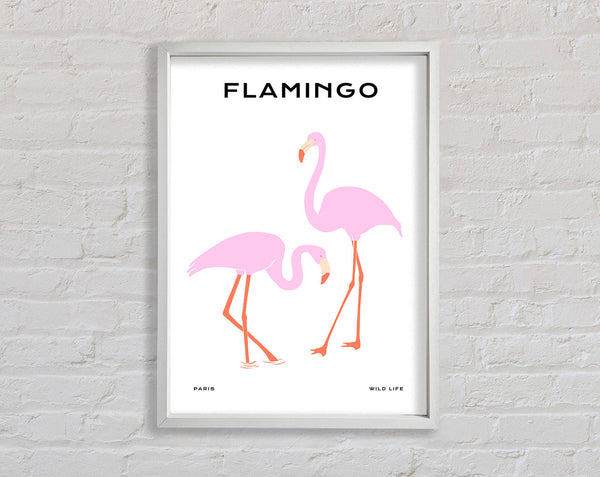 Pink Flamingo