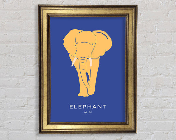 Bold Elephant