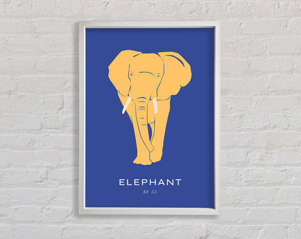 Bold Elephant