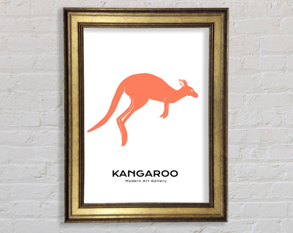 Kangaroo Bounce