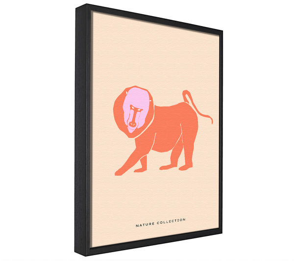 A picture of a Orange Mandrill framed canvas print sold by Wallart-Direct.co.uk