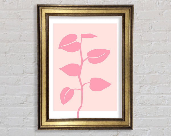 Simple Pink Plant