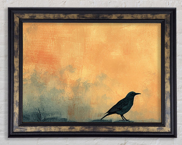 Walnut Bird Sunset