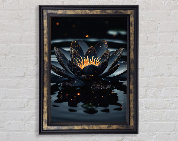 Walnut Lotus On A Lake