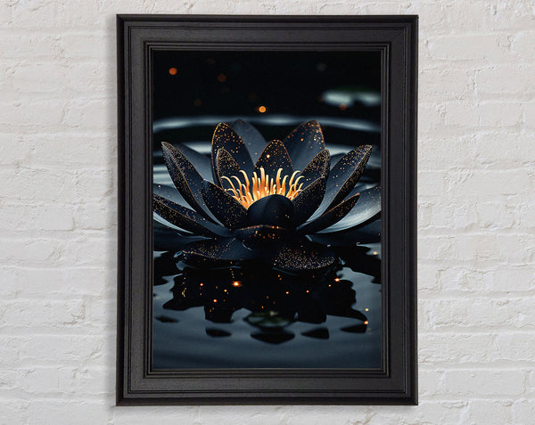 Black Lotus On A Lake