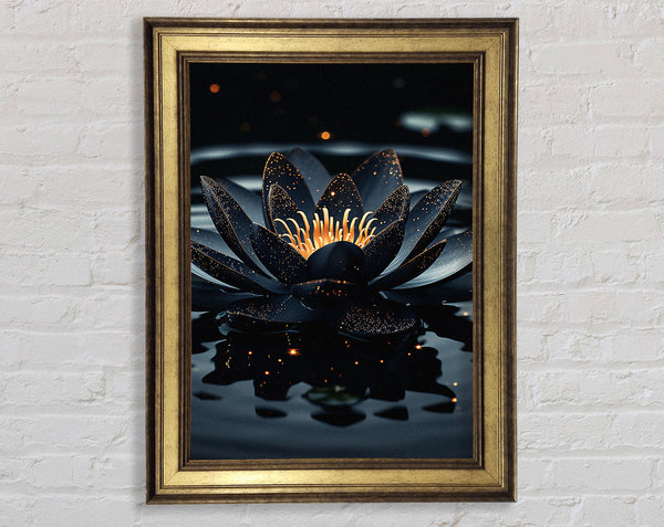 White Lotus On A Lake