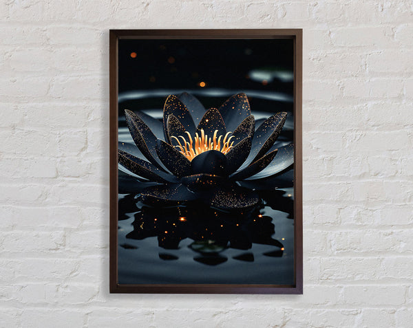 Walnut Lotus On A Lake