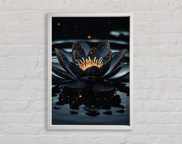 White Lotus On A Lake