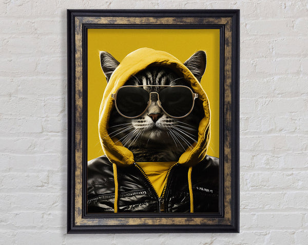 Cat Thug