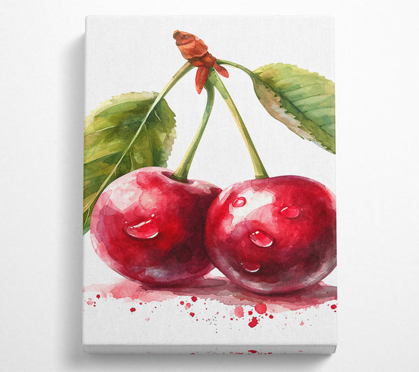 Cherries Watercolour