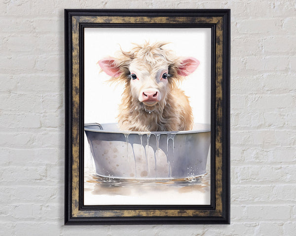 Cow Bath