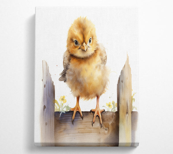 Cute Easter Chick